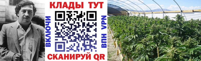 Что такое Верхний Уфалей Кокаин  MEGA онион  Меф мяу мяу  ГАШИШ  Бошки Шишки  А ПВП 