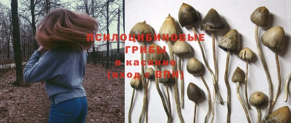 кокаин Тавда