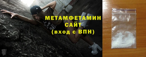 стаф Тайга