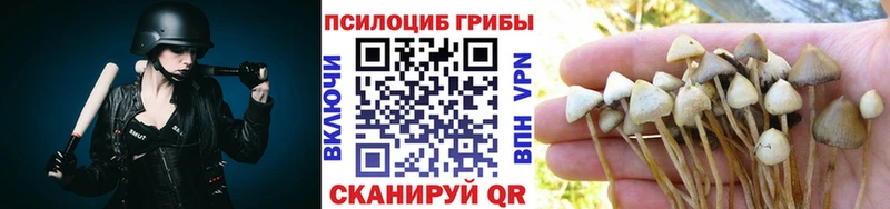 Галлюциногенные грибы Psilocybine cubensis ОМГ ОМГ ССЫЛКА Верхний Уфалей